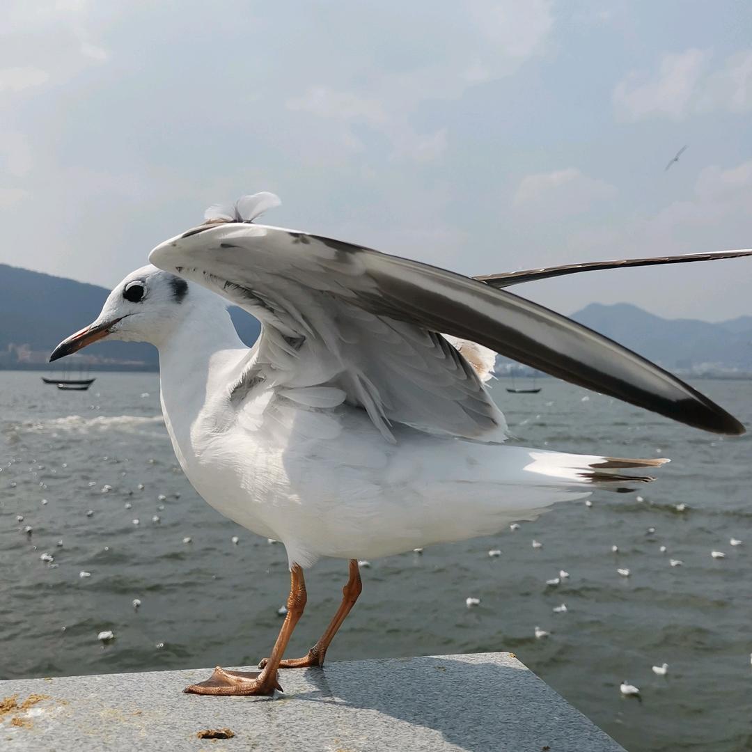 简凡，