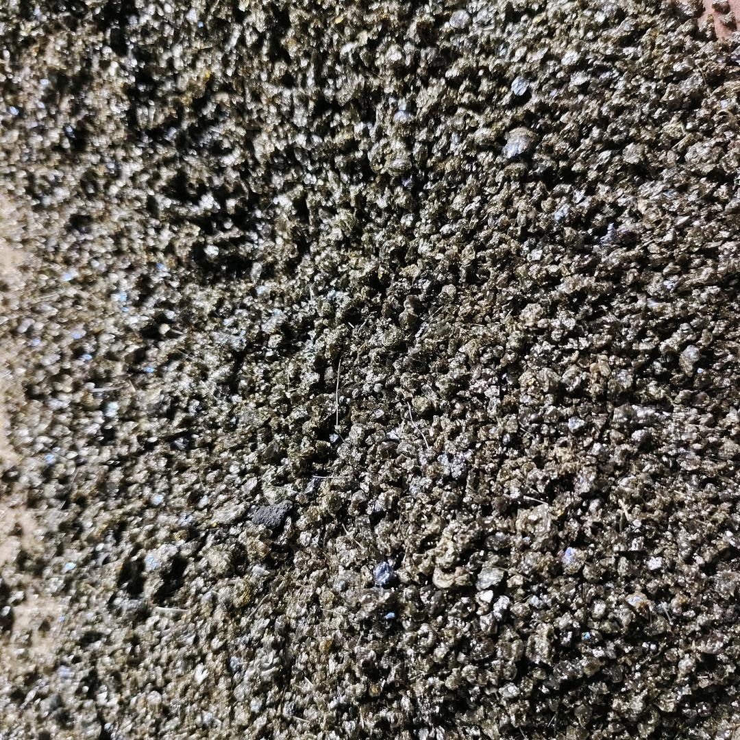 似水年华