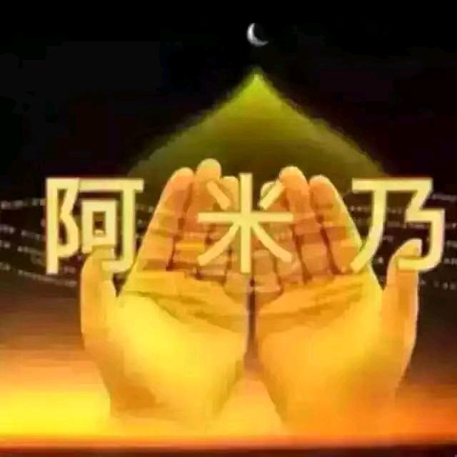 鸿运顺（小东）