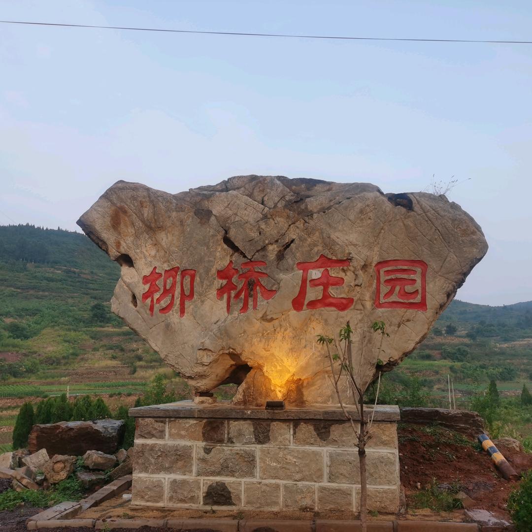 大山里的2果