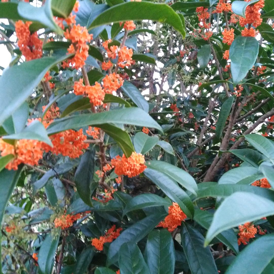 春夏秋冬