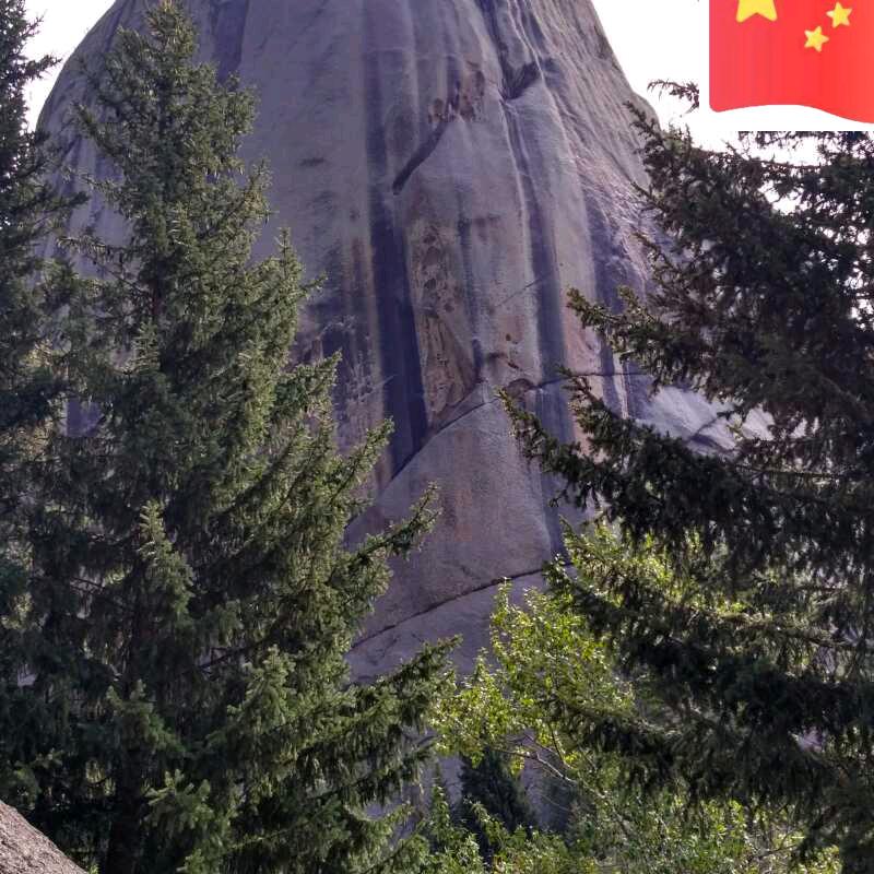 蔡德军