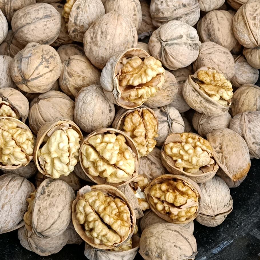 核桃（李凯）