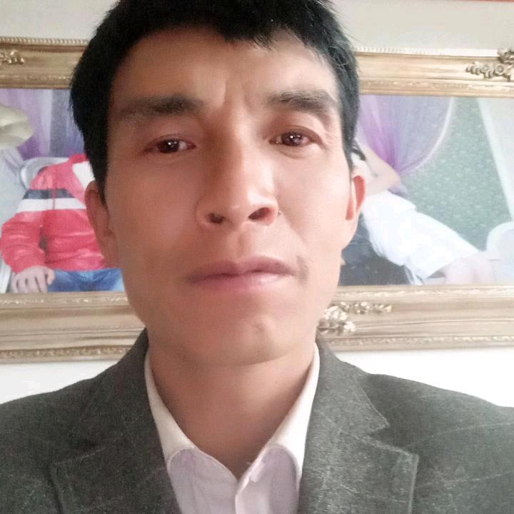 四季发财，