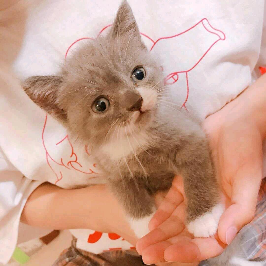 天~波