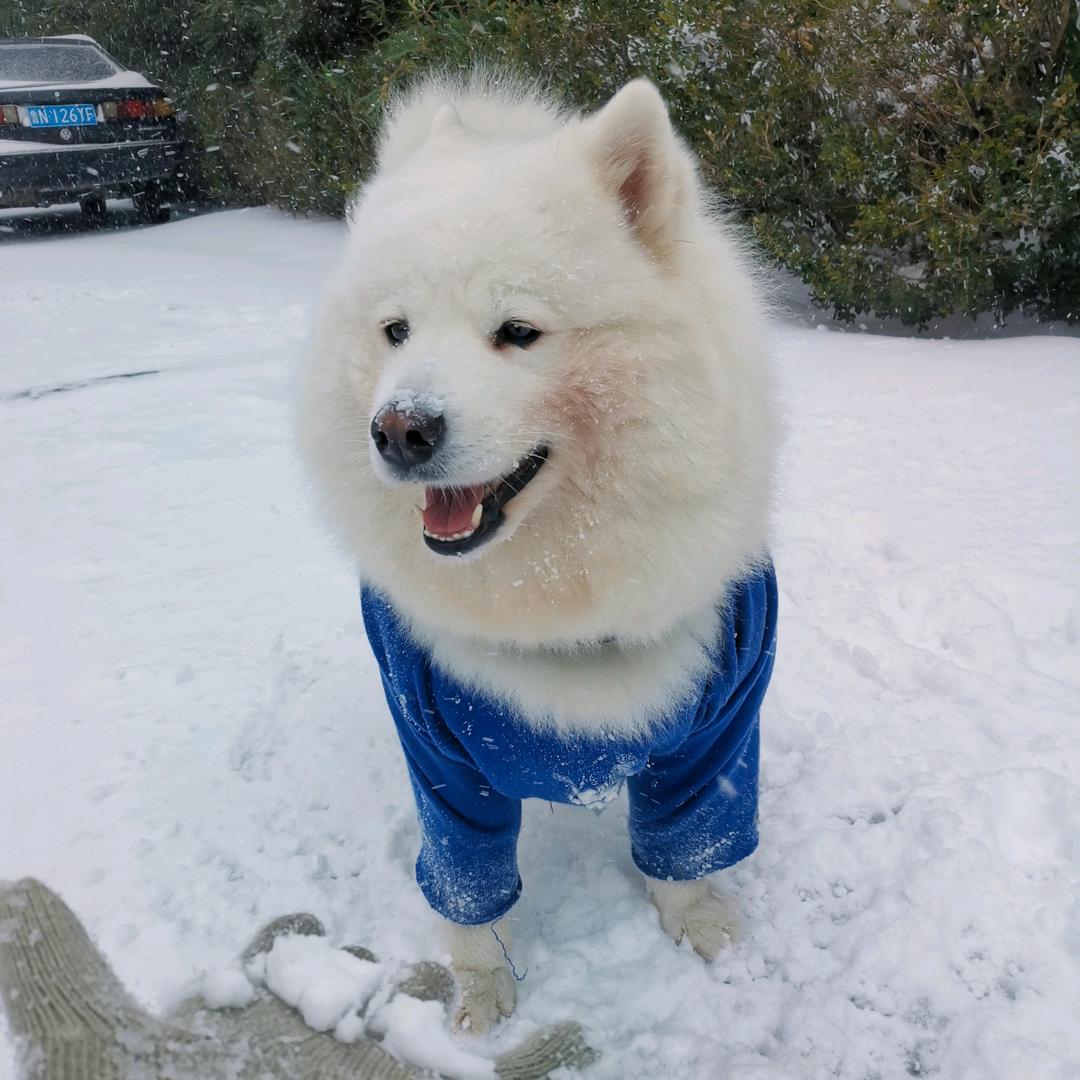 我家有个小胖墩儿