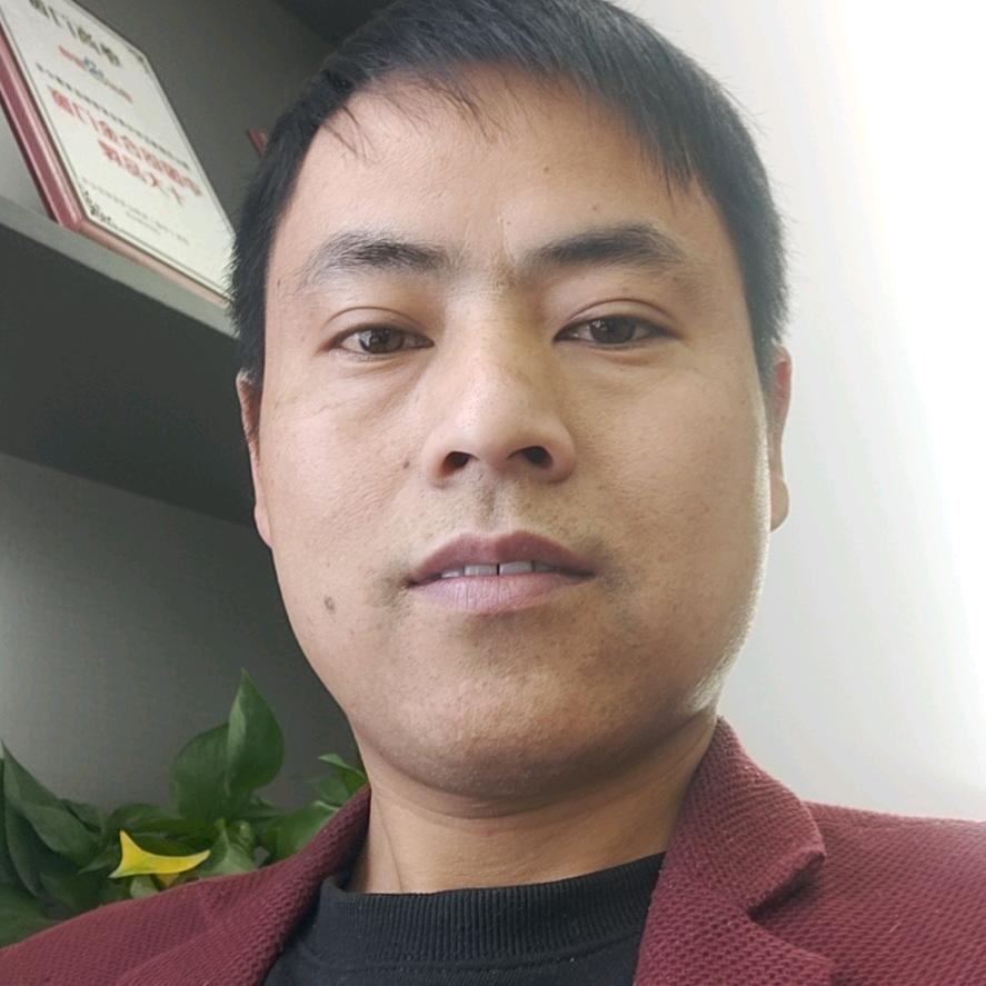 龙