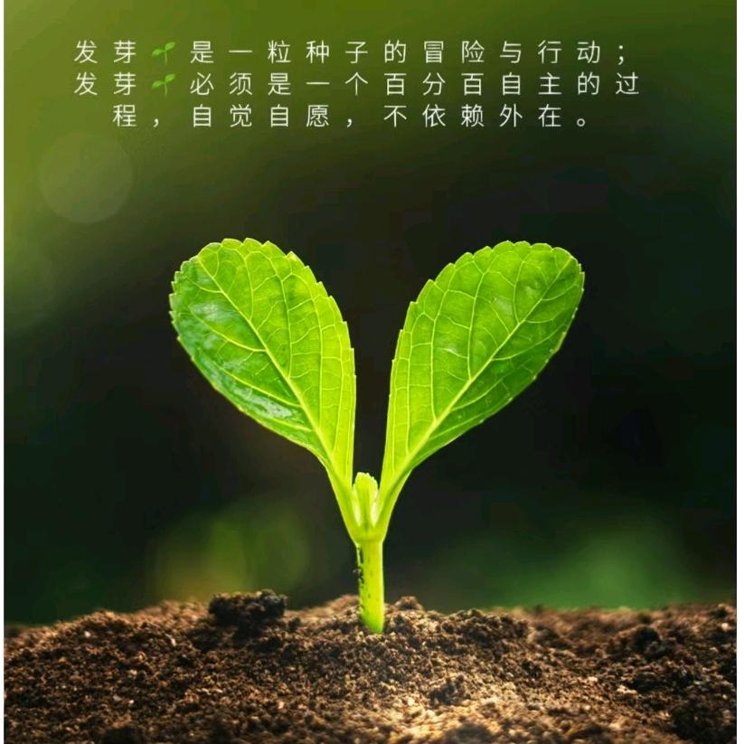 知书识理