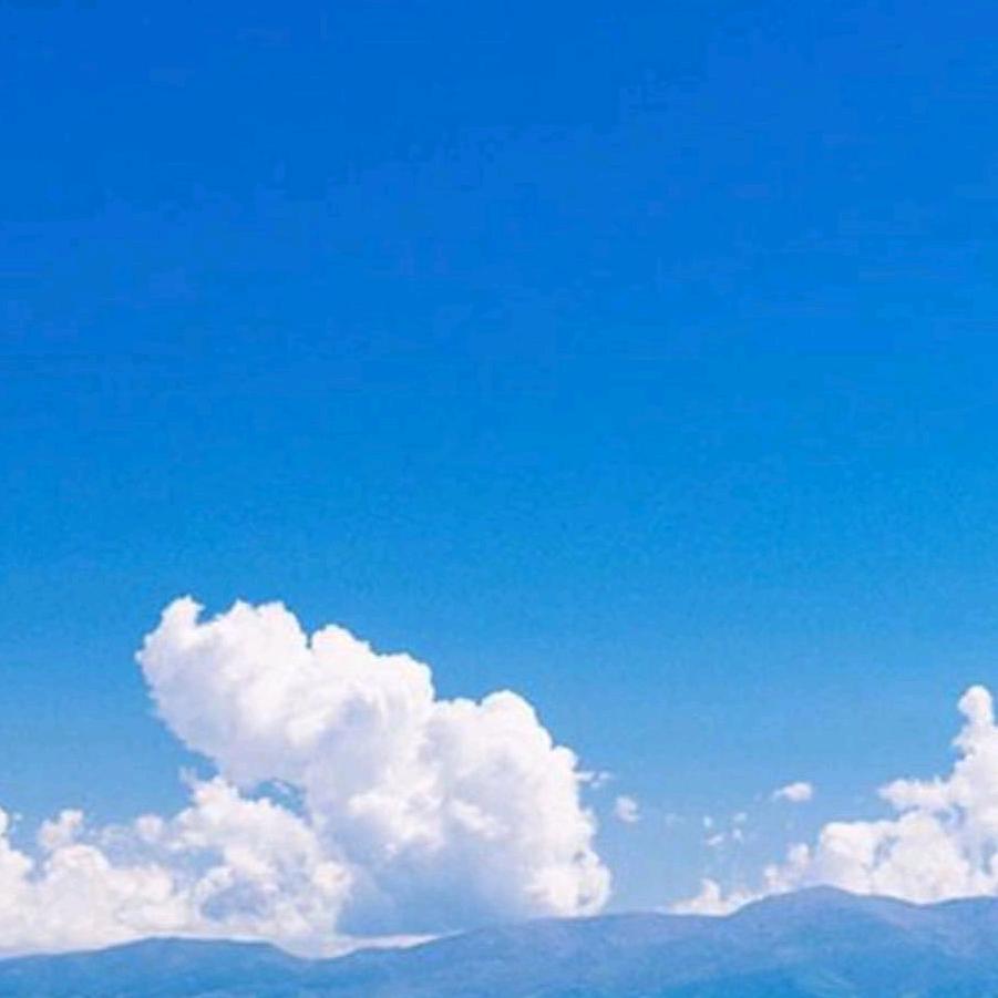 山楂缘