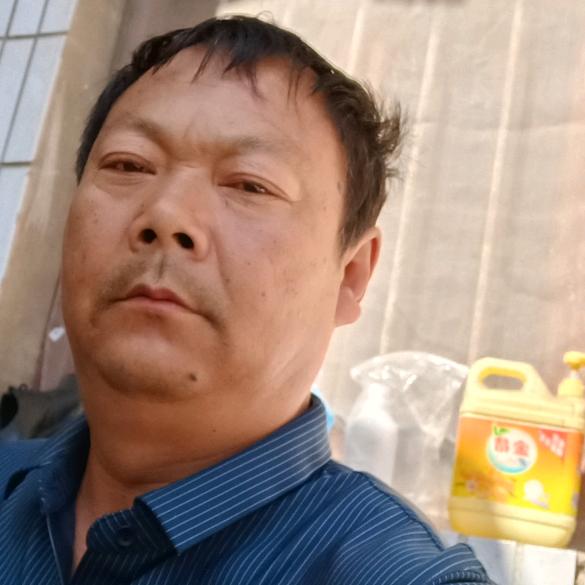 靳来好运