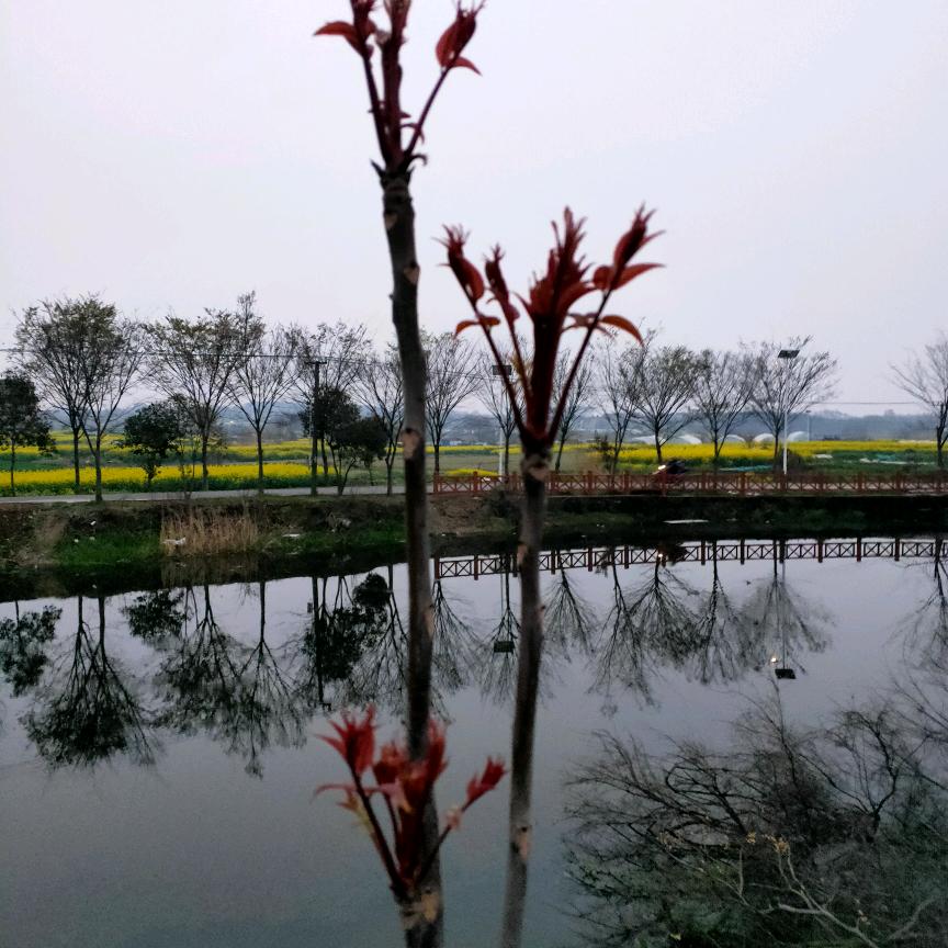 绿水青山