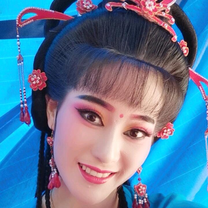 魏小波庐剧