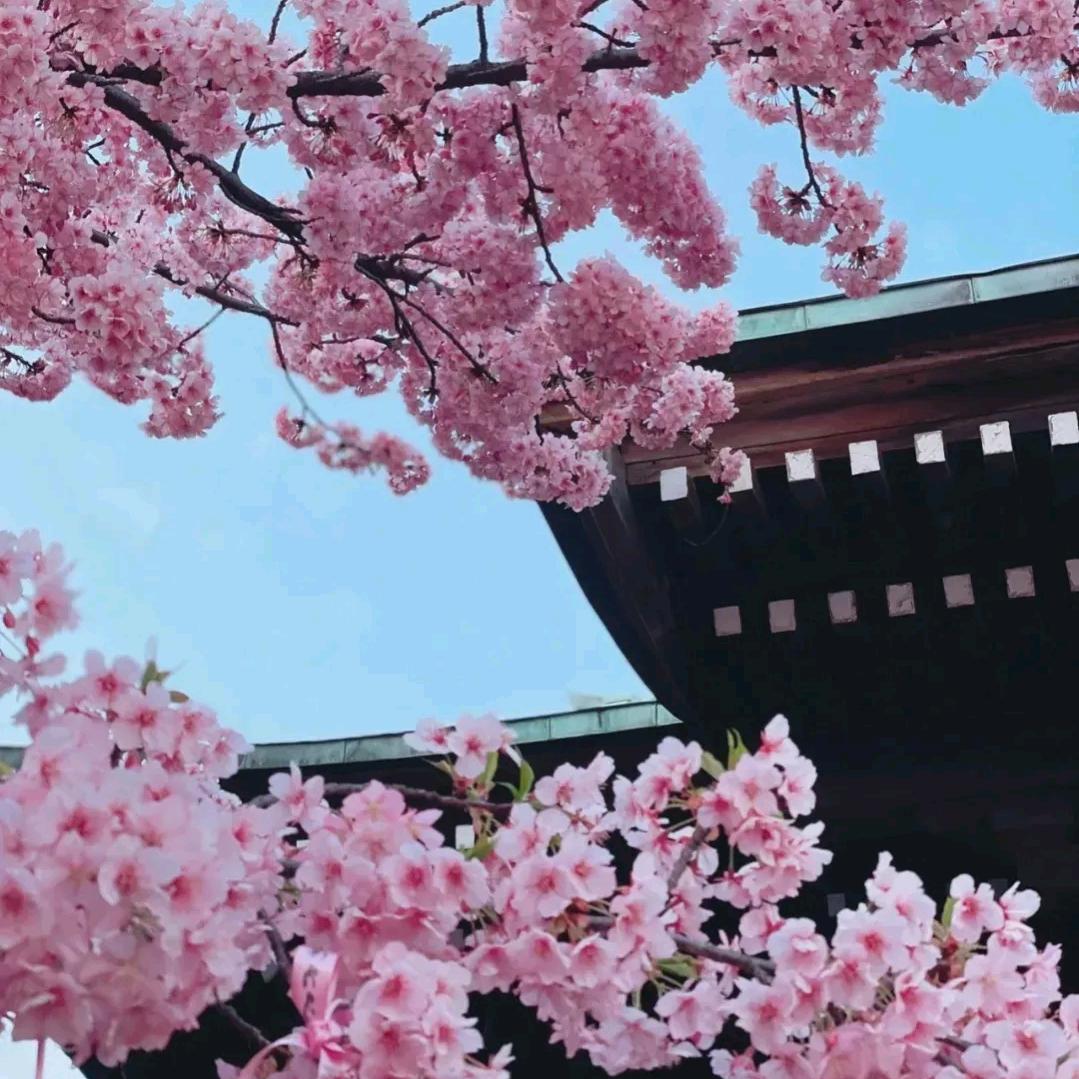 空空如也