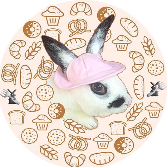 兔宝奈斯美食