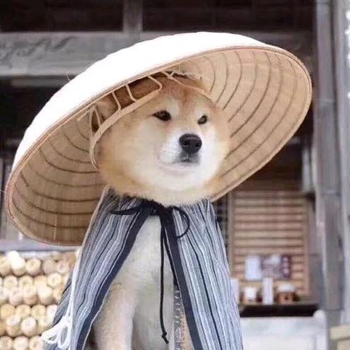 张三轰