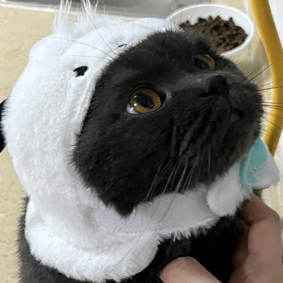 姬妤桉