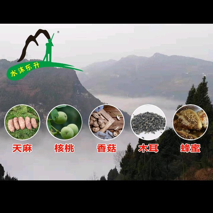 水沐东升R（寻合伙人）
