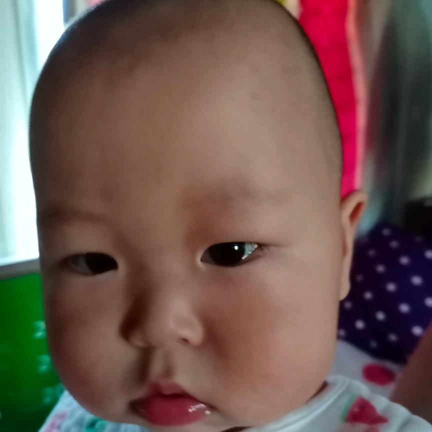 专业回收废铁废木头