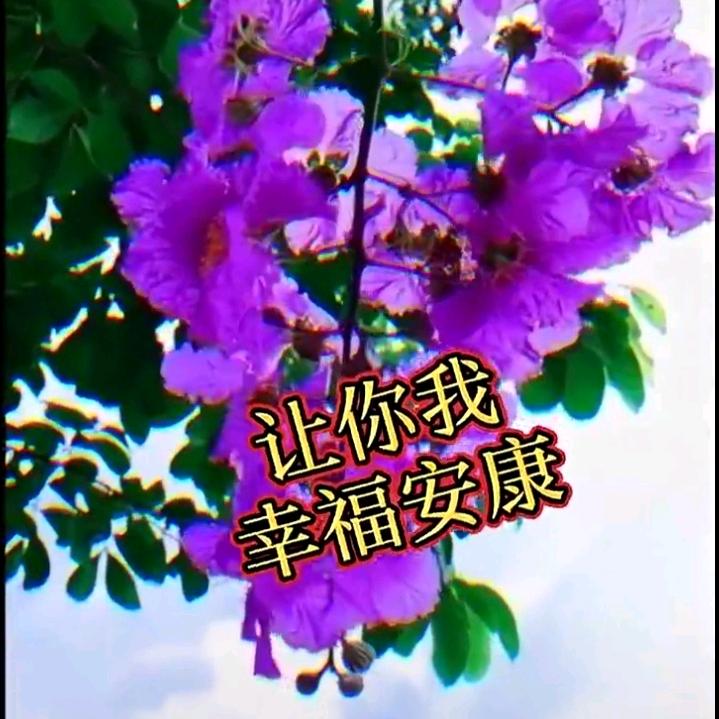 开心无价