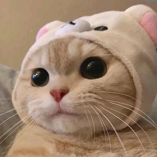 漠然