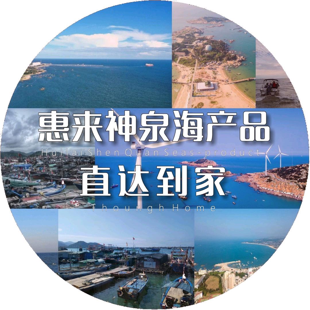 惠来海鲜干货供应链