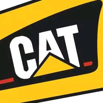 真心不如红钞票