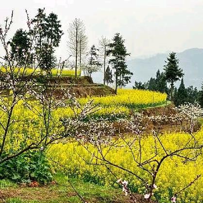 我没有结婚没有小孩只单身90年