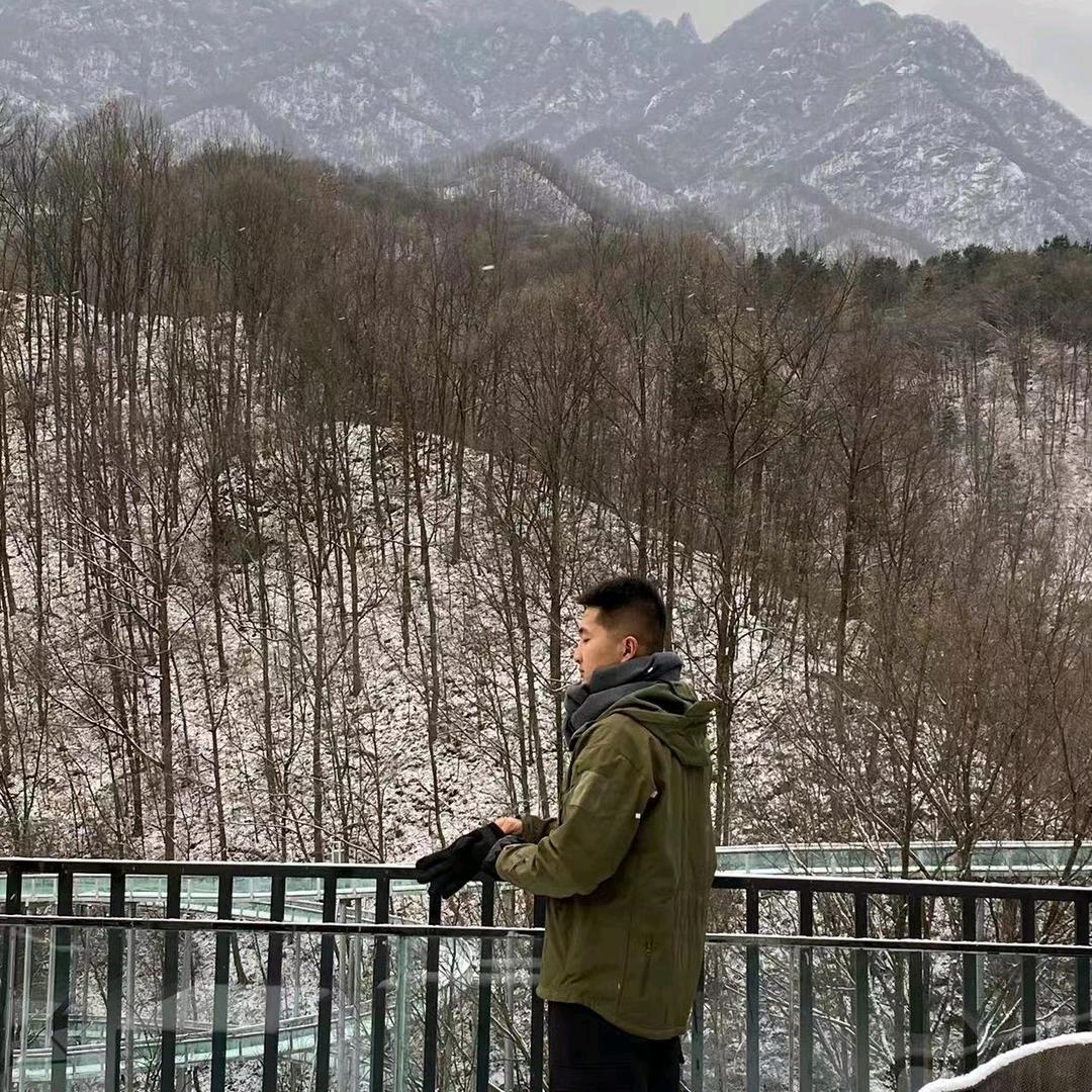 王大树湖北分树