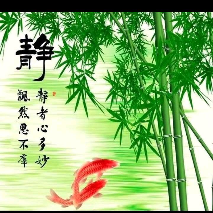 好日子，🌹🌹🌹🌹🌹