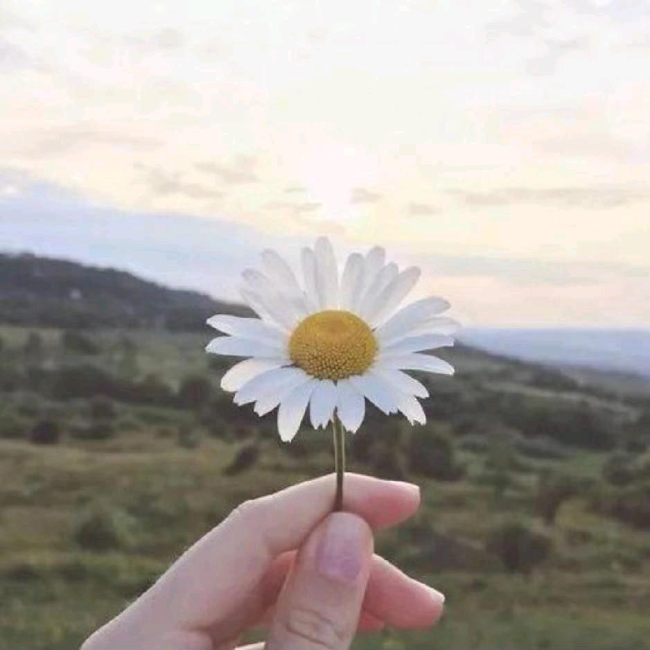 🌸玉儿🌸