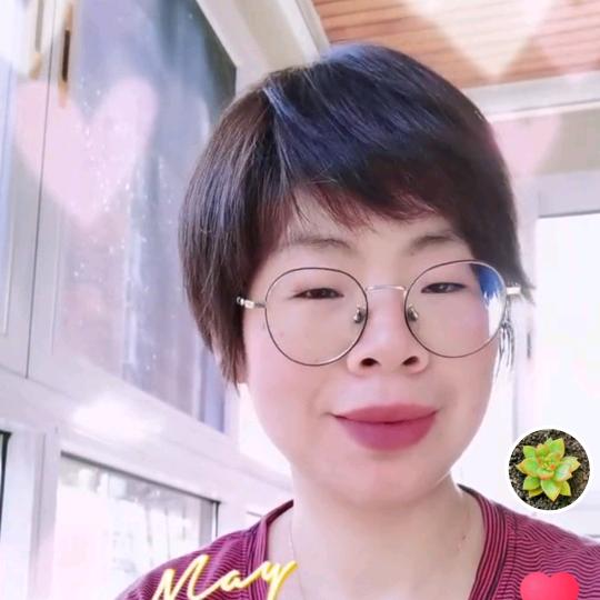 ✨尧姐✨