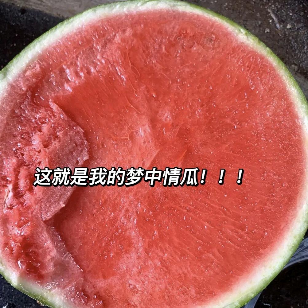 追风