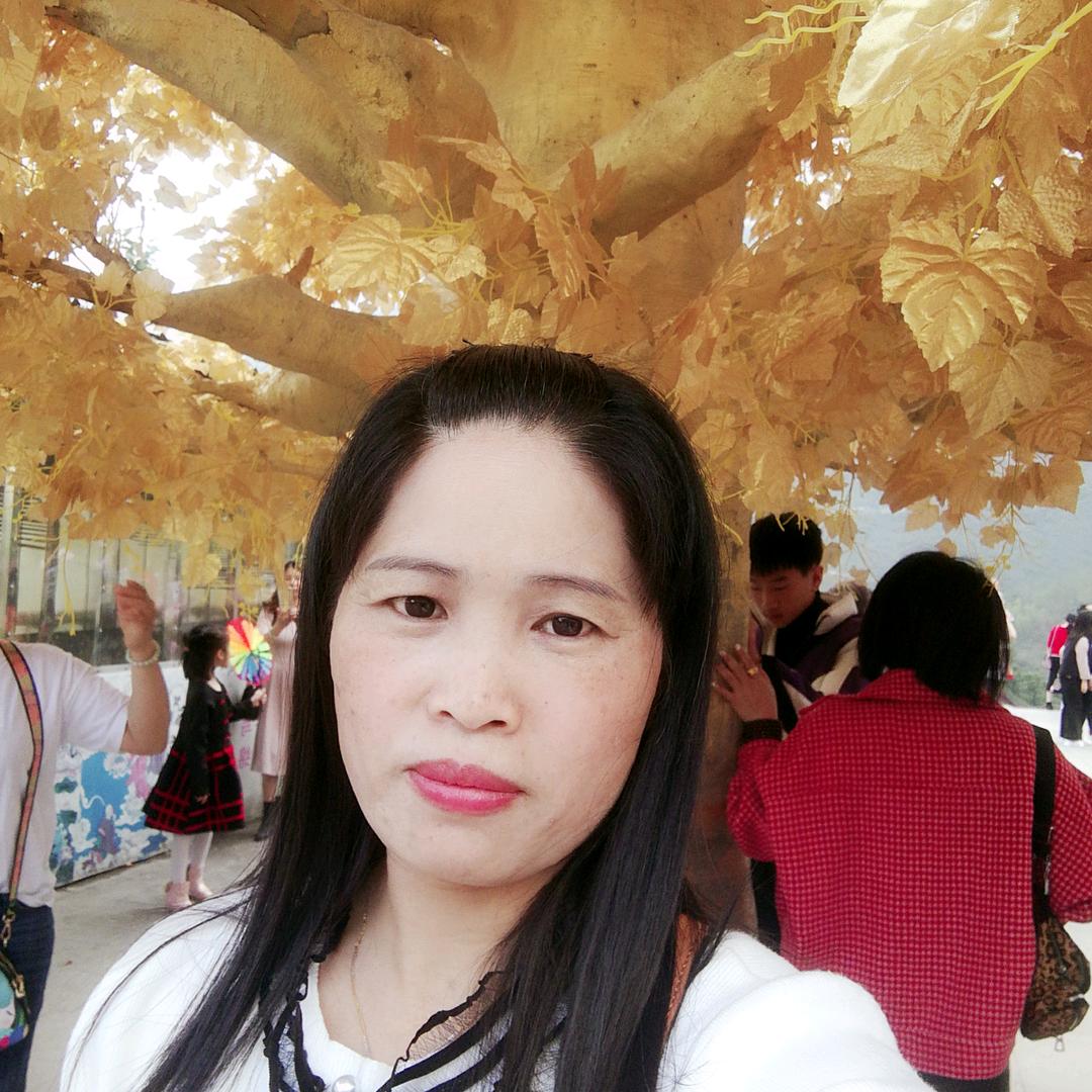 快乐妙云