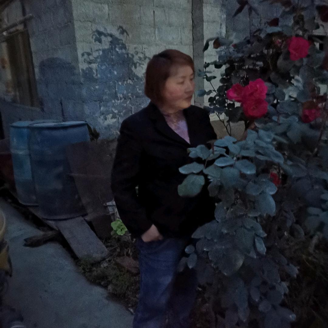 887088055求平安，别无所求