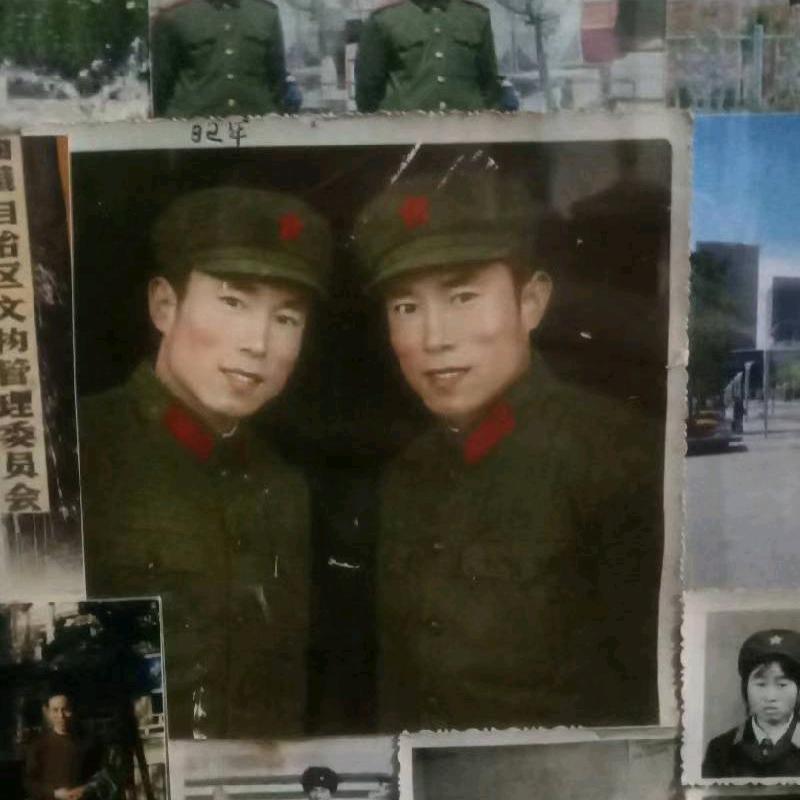 小白杨