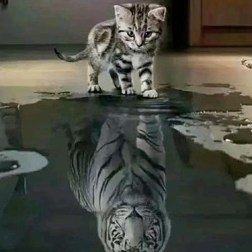 ✺葬『▓▓』花✺