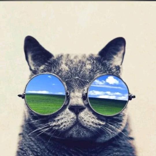 Qy   🚶🏻‍♂️