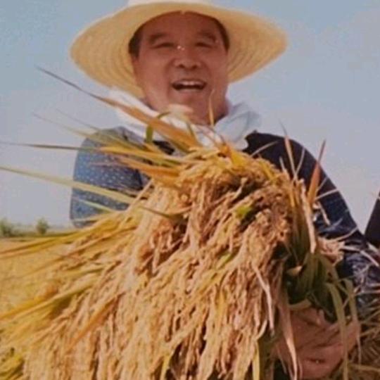 杉林大叔