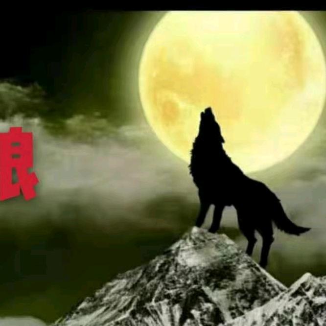 狼