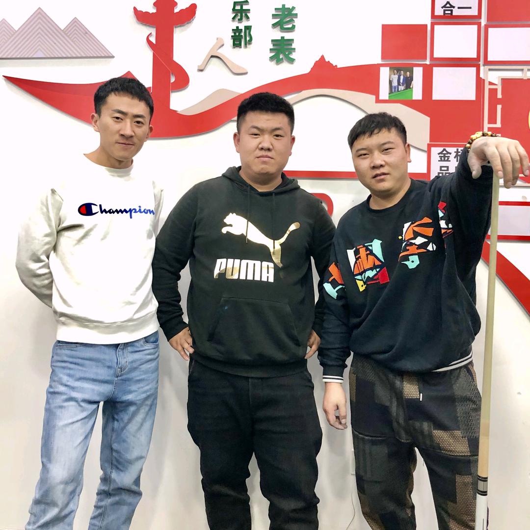 仙人板板盆景