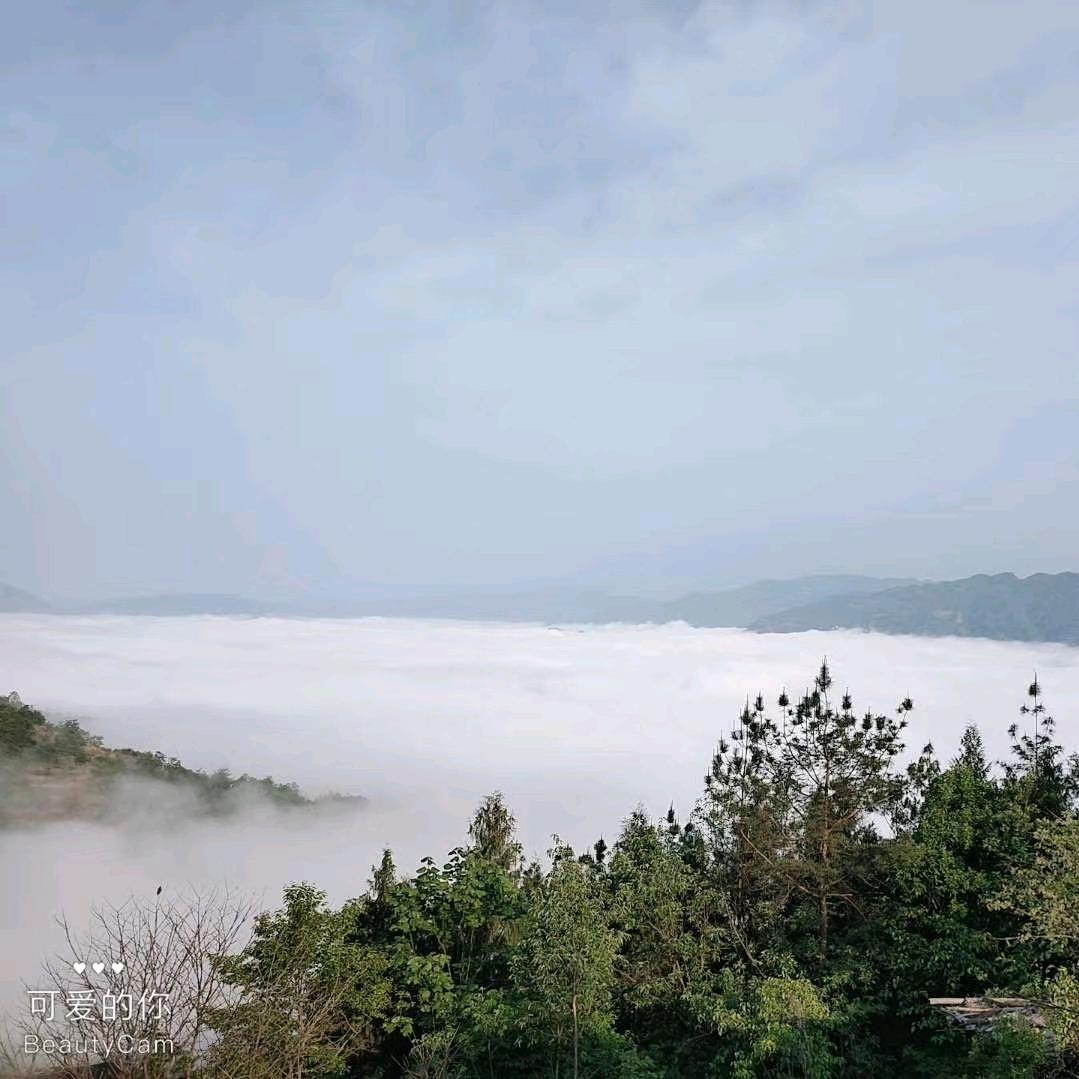 茅山猛男