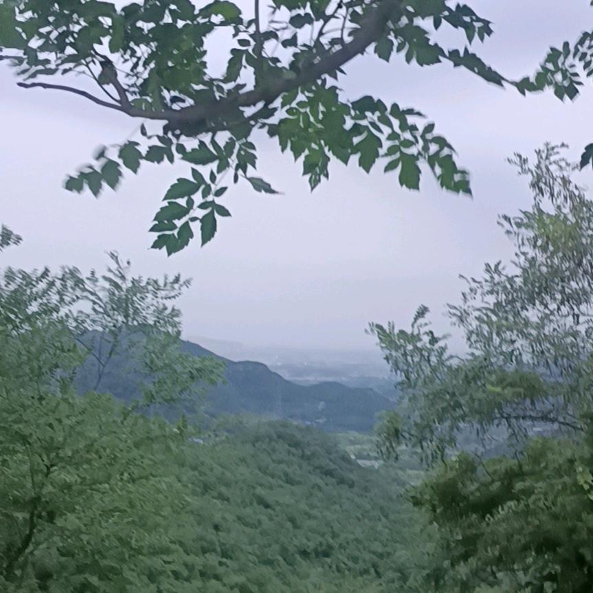 阔海鸿升