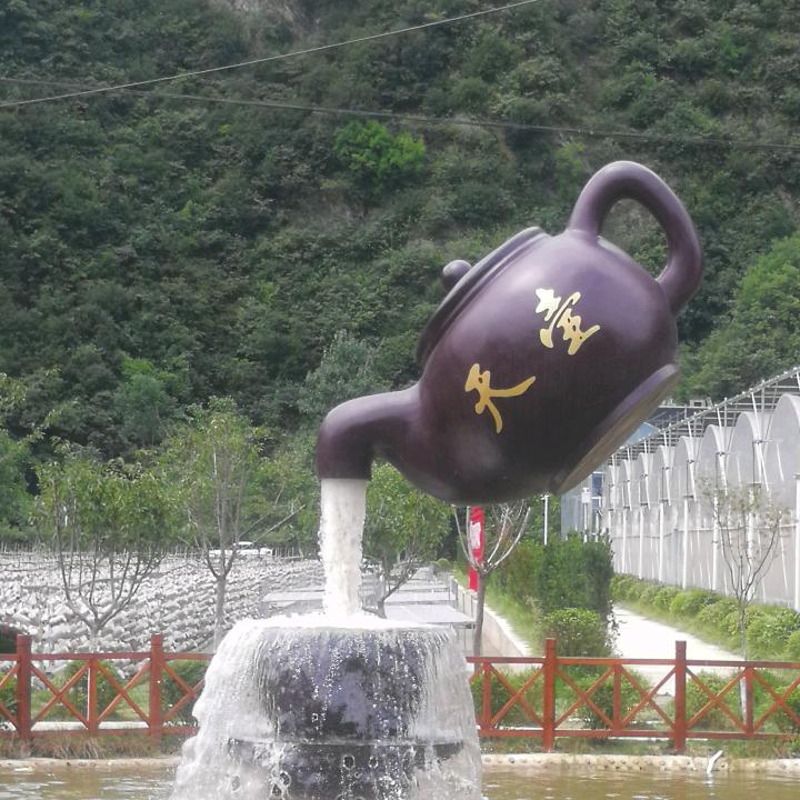 每天一壶