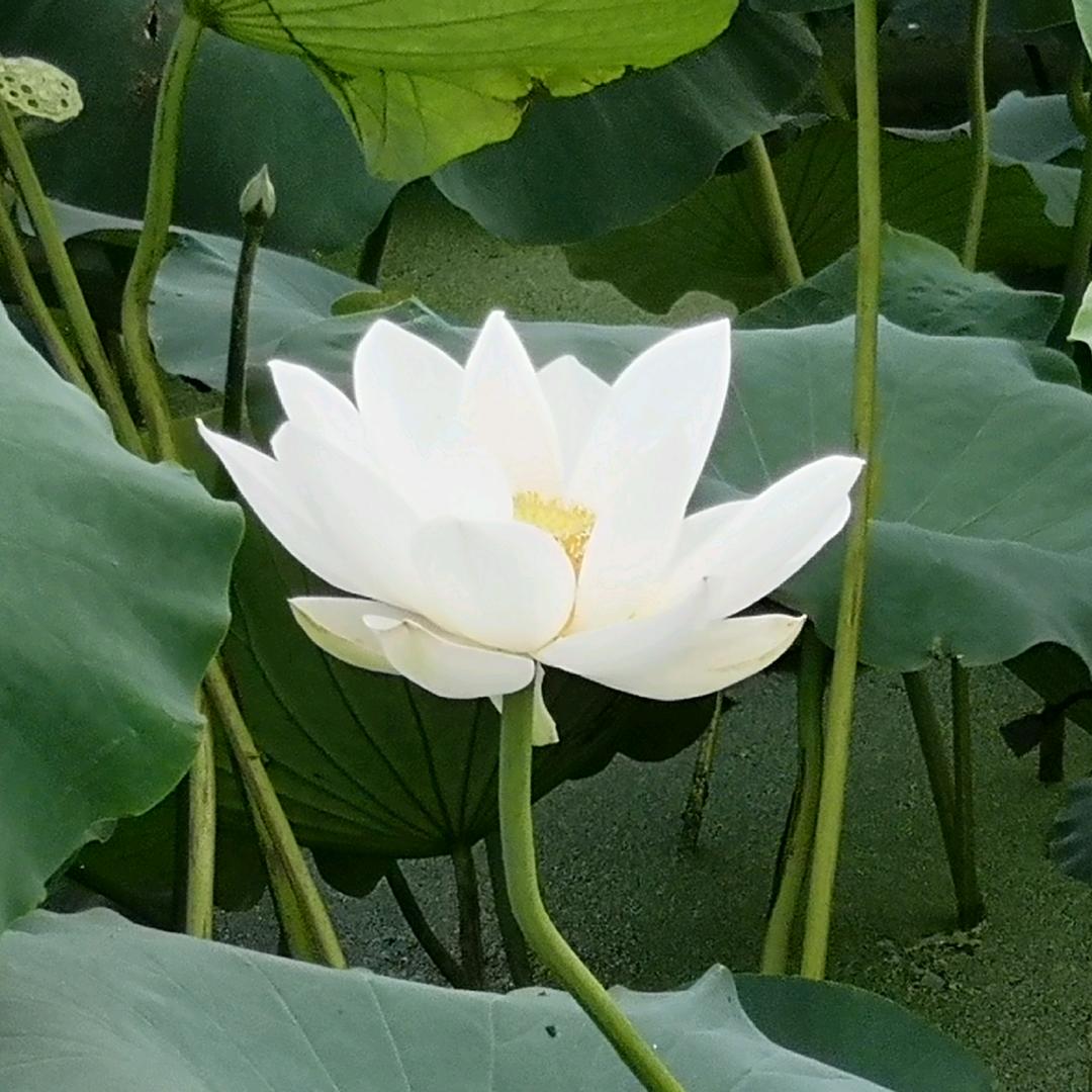 明师教育（非名师）
