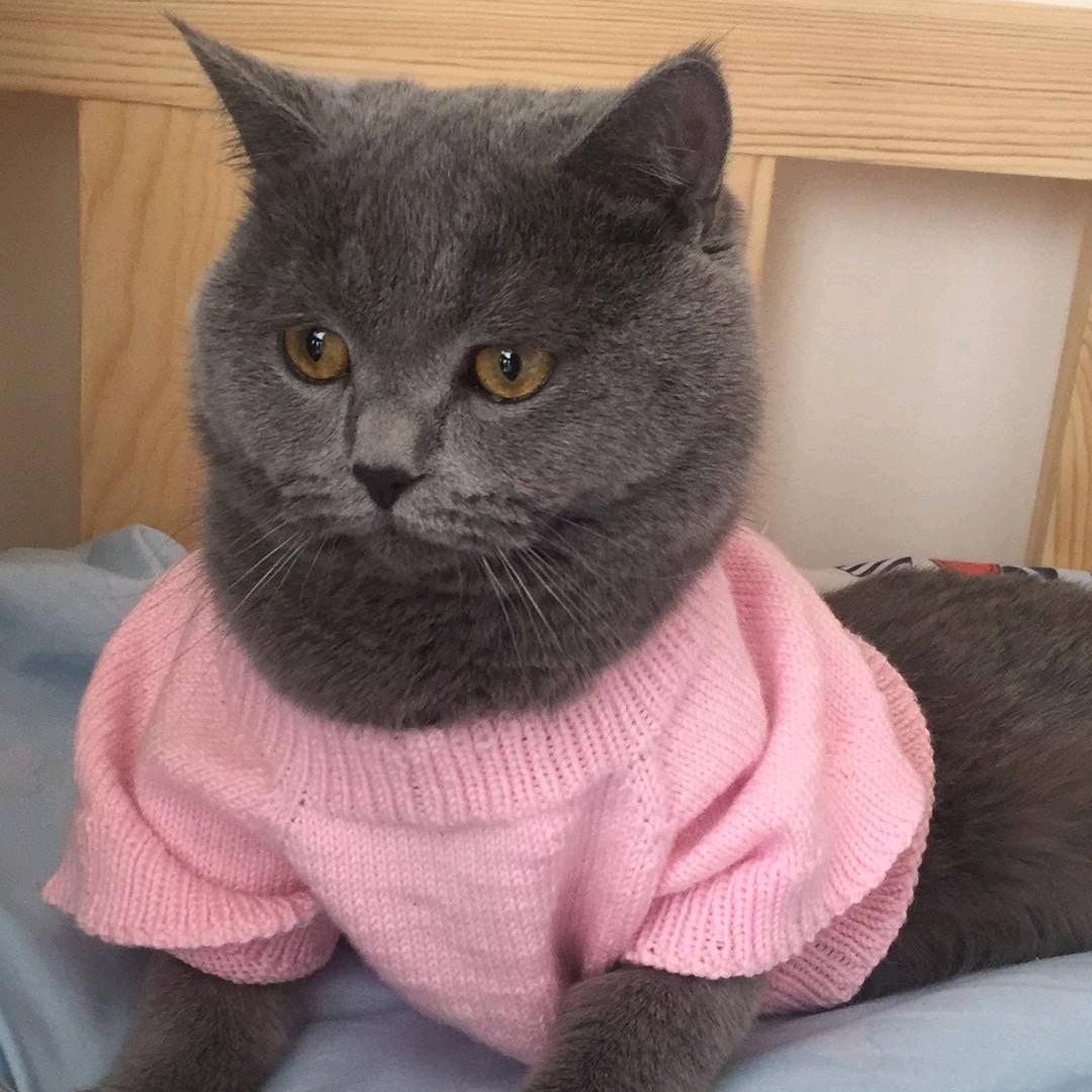 福田多慧