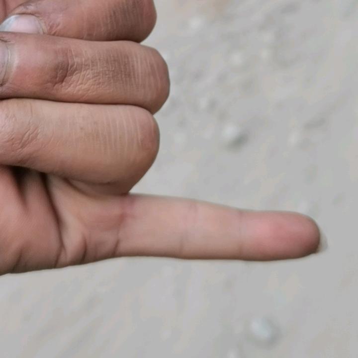 八牛一田