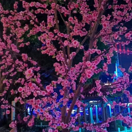 新瑞塑胶