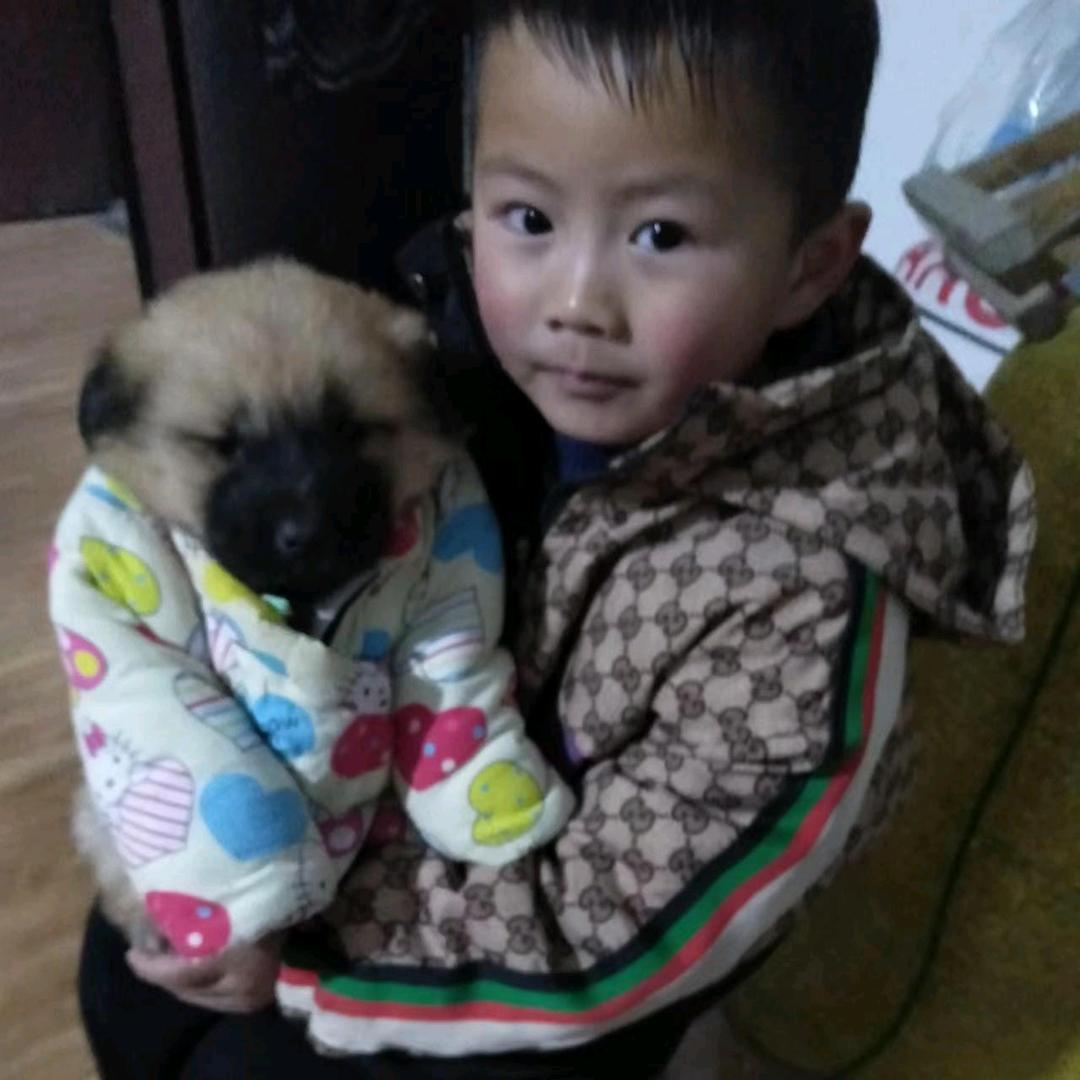 祖天寺文艺传媒   张广周