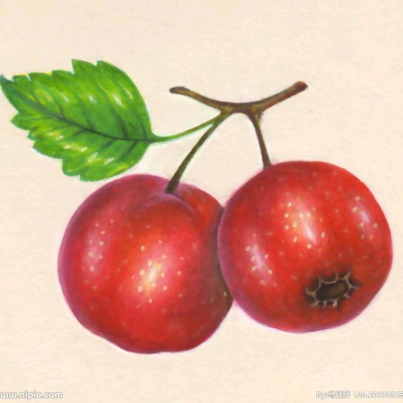 榆次安宁桥头早市晓白水果