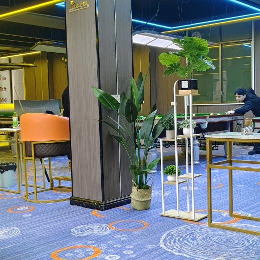 鄱阳县爱欣台球馆